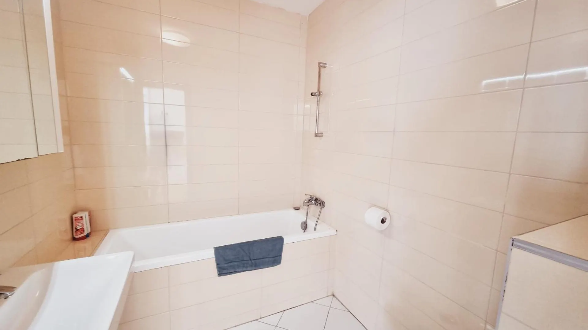 Bucharest Central Ee Apartment